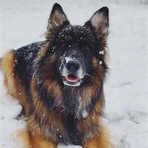 Meet your Posher, Macy